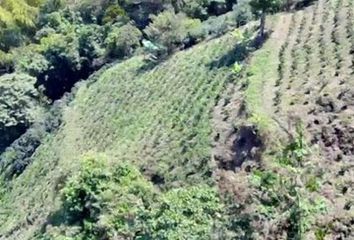 Villa-Quinta en  Alto Del Naranjo, Manizales