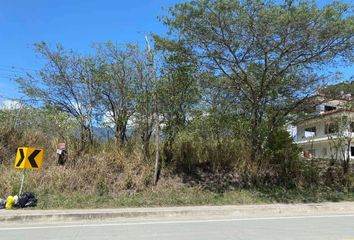 Terreno Comercial en  Juan Montalvo 1331, Vilcabamba 110119, Ecuador