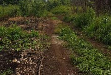 Lote de Terreno en  Bacalar, Bacalar, Bacalar, Quintana Roo