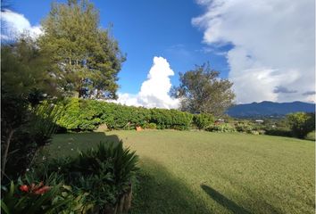 Lote de Terreno en  El Carmen De Viboral, Antioquia