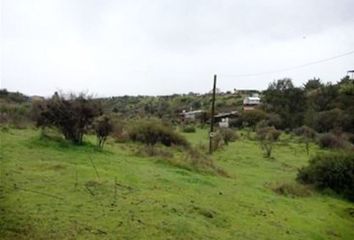 Parcela en  San Pedro, Melipilla