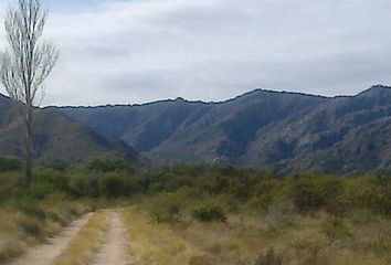 Terrenos en  Cortaderas, San Luis