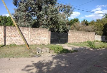 Quinta/Finca en  Villa Luzuriaga, La Matanza