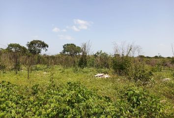 Lote de Terreno en  Calle 15, Cholul, Mérida, Yucatán, 97305, Mex