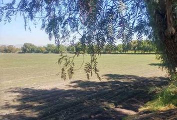 Lote de Terreno en  El Pueblito, Corregidora, Corregidora, Querétaro