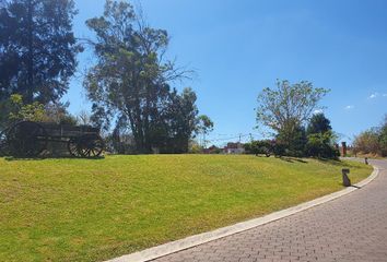 Lote de Terreno en  San Gaspar, Ixtapan De La Sal