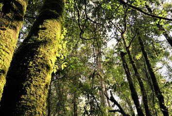 Lote de Terreno en  Avándaro, Valle De Bravo