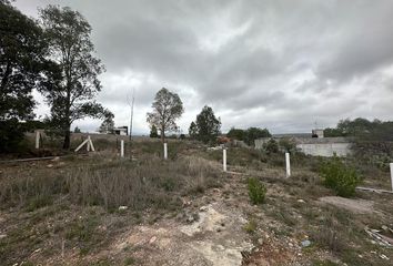 Lote de Terreno en  Avenida Horizontes Itálicos, San José De Buenavista, San Luis Potosí, 78413, Mex