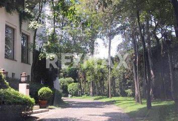 Lote de Terreno en  Los Cedros, Álvaro Obregón, Cdmx