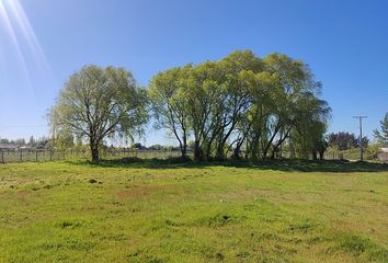 Parcela en  Chillán, Ñuble (región)