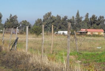 Parcela en  Colina, Chacabuco