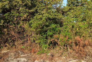 Lote de Terreno en  Buenavista, Ciudad Del Carmen, Carmen, Campeche