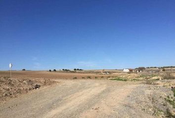 Terreno en  Trebujena, Cádiz Provincia