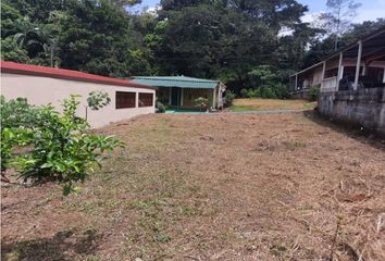 Lotes y Terrenos en  Barrio Colón, La Chorrera