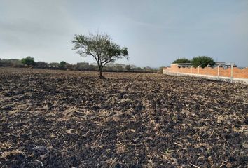 Lote de Terreno en  Irapuato, Guanajuato, Mex