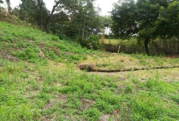 Lote de Terreno en  Centro, Pereira