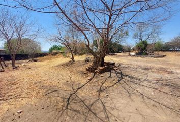 Lote de Terreno en  Calle Circuito Orquídea, Puente Grande, Tonalá, Jalisco, 45427, Mex