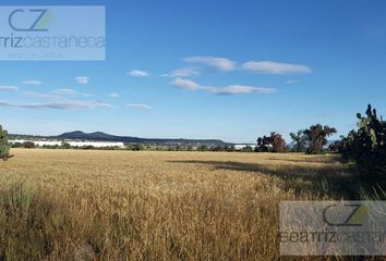 Lote de Terreno en  Los Viñedos, Zempoala