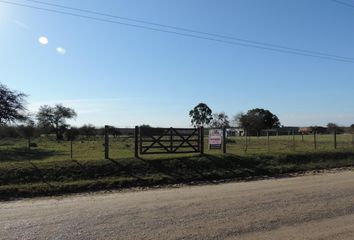 Terrenos en  San José, Entre Ríos