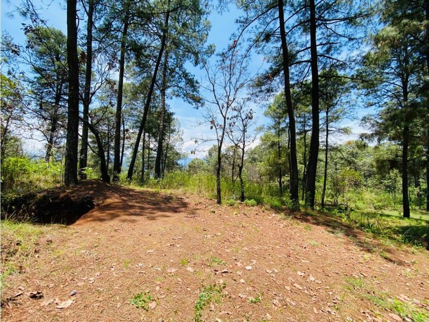 venta Lote de Terreno en La Candelaria, Valle de Bravo, Valle de Bravo