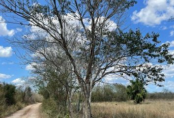 Lote de Terreno en  Opichén, Yucatán