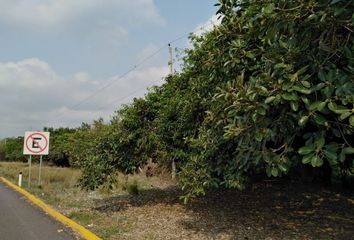 Lote de Terreno en  Fraccionamiento Hacienda Sotavento, Municipio Veracruz