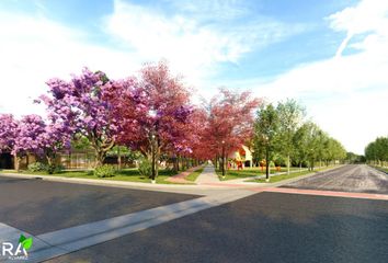 Terrenos en  Álvarez, Santa Fe