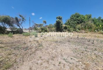 Lote de Terreno en  San Gaspar, Ixtapan De La Sal