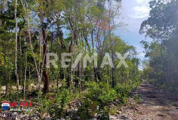 Lote de Terreno en  Tulum, Tulum