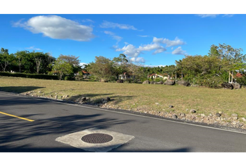 Lotes y Terrenos en  Potrerillos Arriba, Dolega