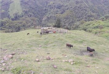 Villa-Quinta en  Chinchiná, Caldas