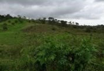 Terreno Comercial en  Gx3h+rj6, Mompiche, Ecuador