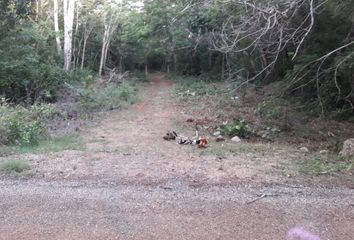 Lote de Terreno en  Dzitás, Yucatán