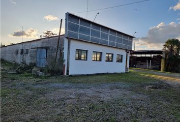 Locales en  Castelli, Partido De Castelli