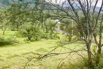 Lote de Terreno en  Parisina, Avenida Miguel Hidalgo, Linares Centro, Linares, Nuevo León, 67700, Mex