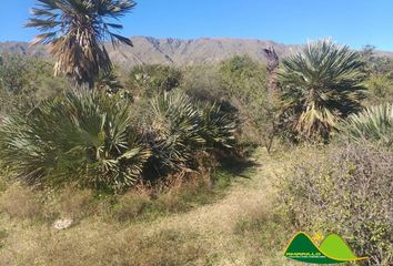 Terrenos en  Papagayos, San Luis