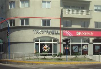 Local en  Iquique, Iquique