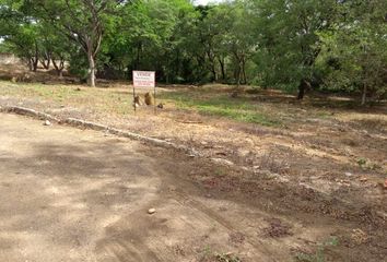 Lote de Terreno en  El Centro, Cúcuta