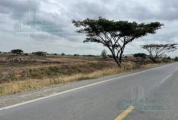 Terreno Comercial en  Pascuales, Guayaquil