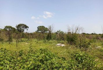 Lote de Terreno en  Baca, Yucatán, Mex