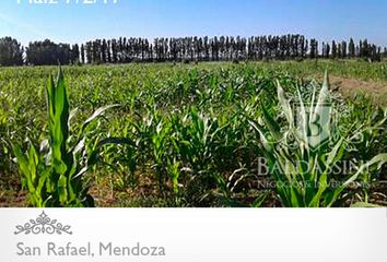 Terrenos en  San Rafael, Mendoza