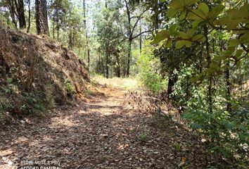Lote de Terreno en  Valle De Bravo, México, Mex