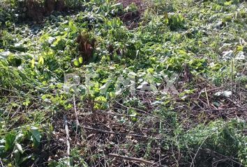 Lote de Terreno en  Mata Redonda, Pueblo Viejo, Veracruz