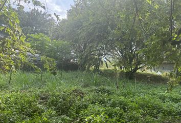 Lote de Terreno en  El Hormiguro, Cali, Valle Del Cauca, Col