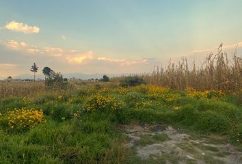 Lote de Terreno en  San Nicolás Tolentino, Toluca De Lerdo