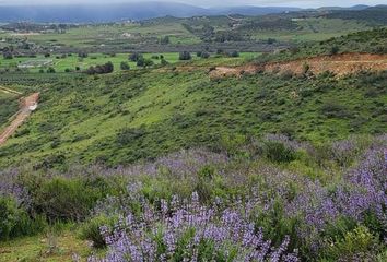 Lote de Terreno en  Principal 1-205, Francisco Zarco, Ensenada, Baja California, 22750, Mex