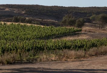 Lote de Terreno en  Valle De Guadalupe 177-187, Valle De Chapultepec, Ensenada, Baja California, 22785, Mex