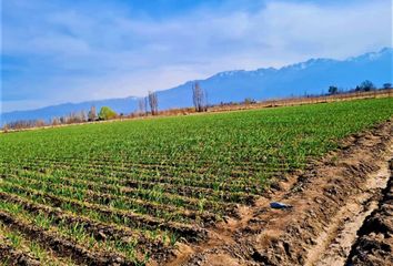 Terrenos en  Tunuyán, Mendoza