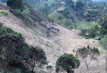 Lote de Terreno en  Cl. De La Salida #34-85, San Vicente, Antioquia, Colombia