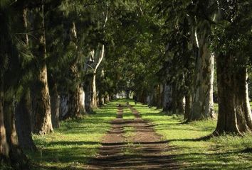 Terrenos en  Haras Del Sol, Partido Del Pilar